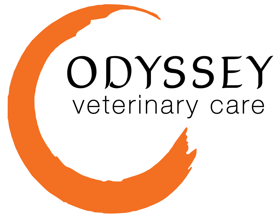Odyssey Veterinary Care Home