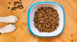 Pet nutrition in Fitchburg, WI