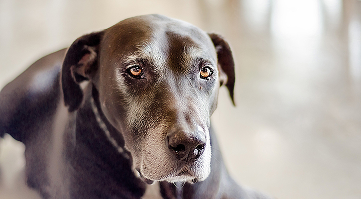 michael-PVlnNm5RHSM-unsplash End of Life Care in Fitchburg, WI
